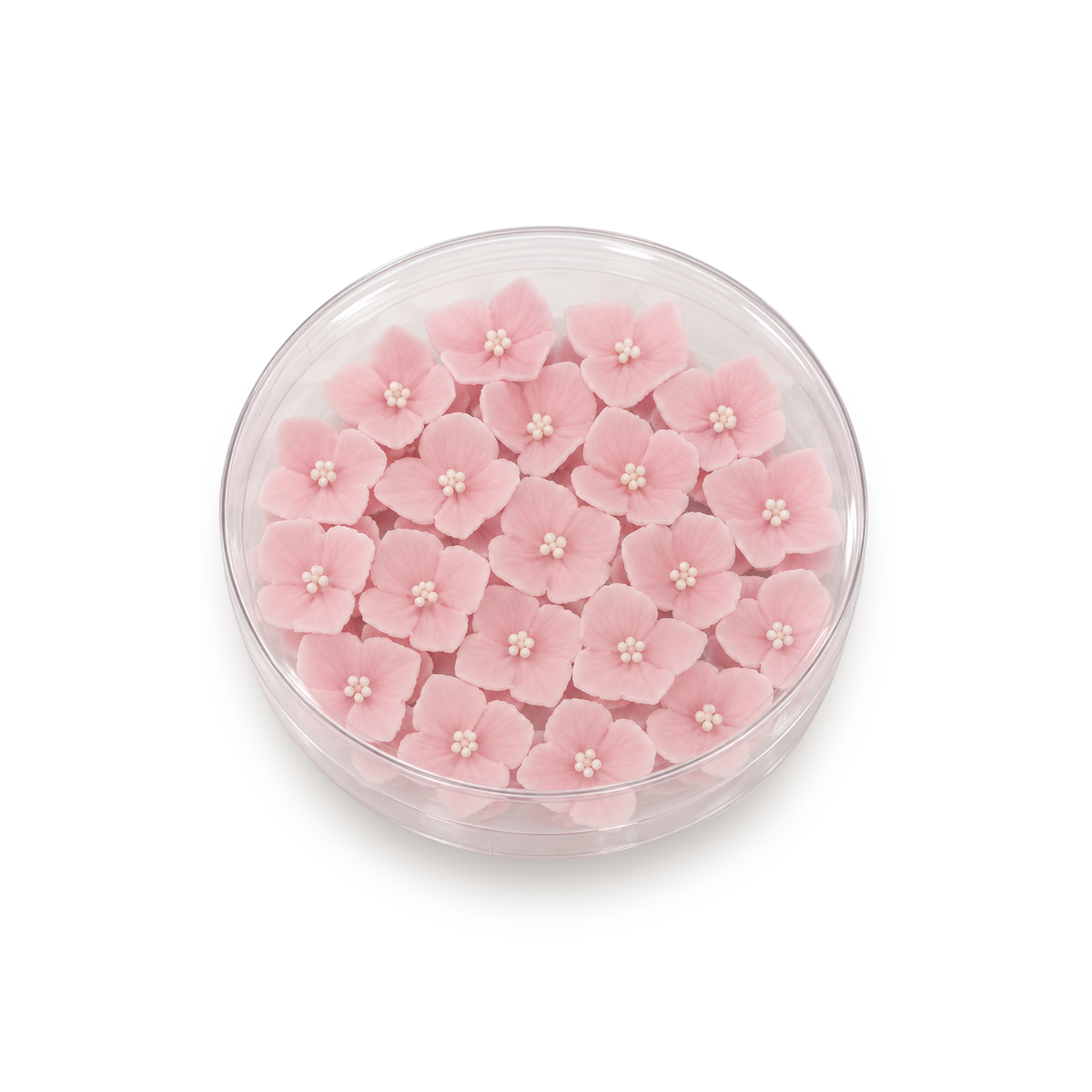 Pre-made Edible Fondant Petunia Flowers
